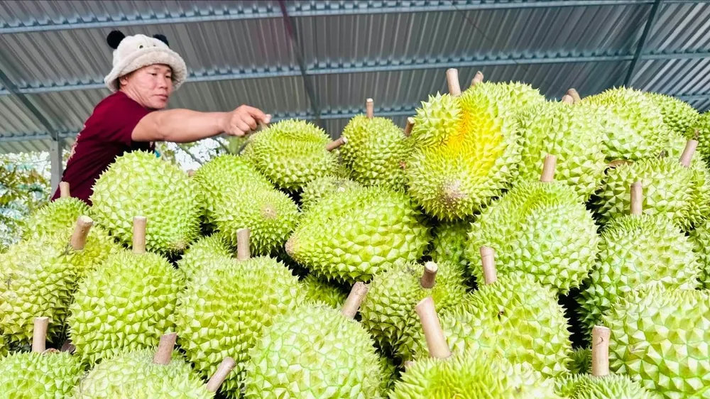 30 cơ sở được kiểm nghiệm Cadimi, 31 cơ sở được kiểm nghiệm chất Vàng O