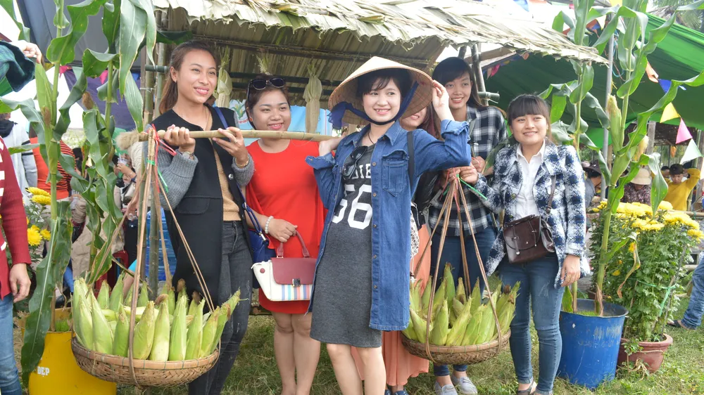 Hơn 10 nghìn trái bắp phục vụ du khách trong “Ngày hội bắp nếp Cẩm Nam 2018”