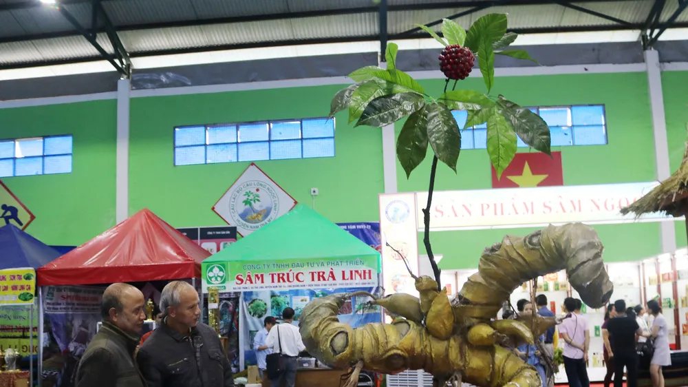 Phiên chợ sâm tiền tỷ