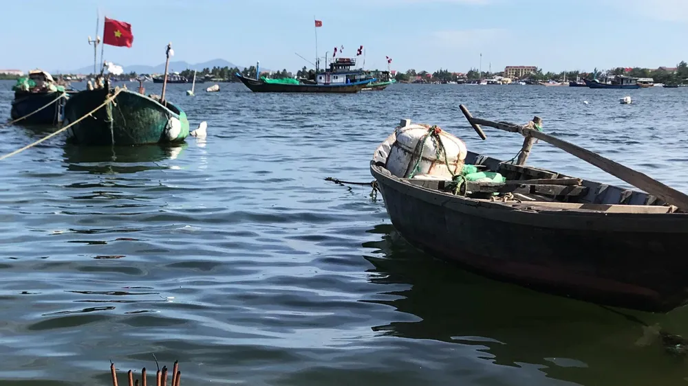 Hạ nguồn Thu Bồn sụt lún nghiêm trọng
