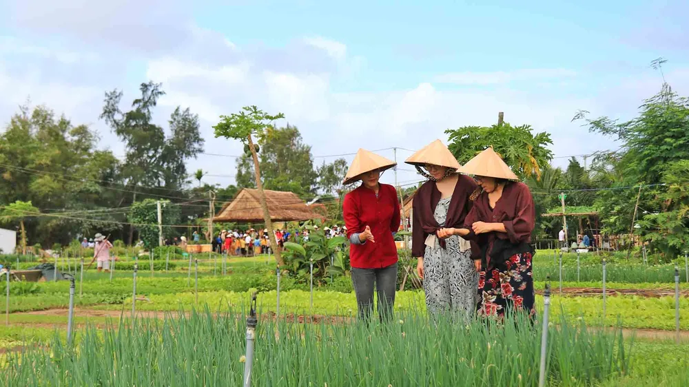 Đón đoàn khách du lịch xông đất Hội An đầu năm