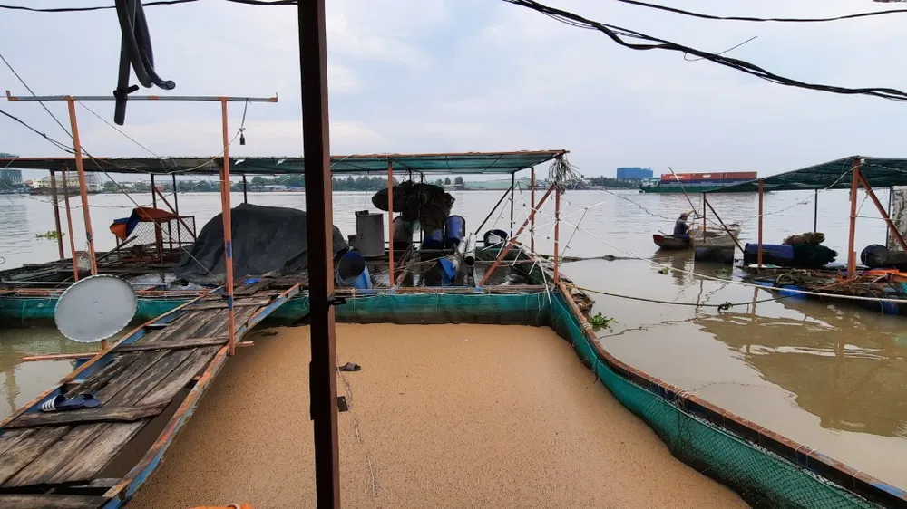 Sà lan tông chìm 2 bè cá trên sông Tiền