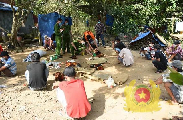 Tiền Giang: Bắt quả tang nhiều tụ điểm đá gà ăn thua bằng tiền
