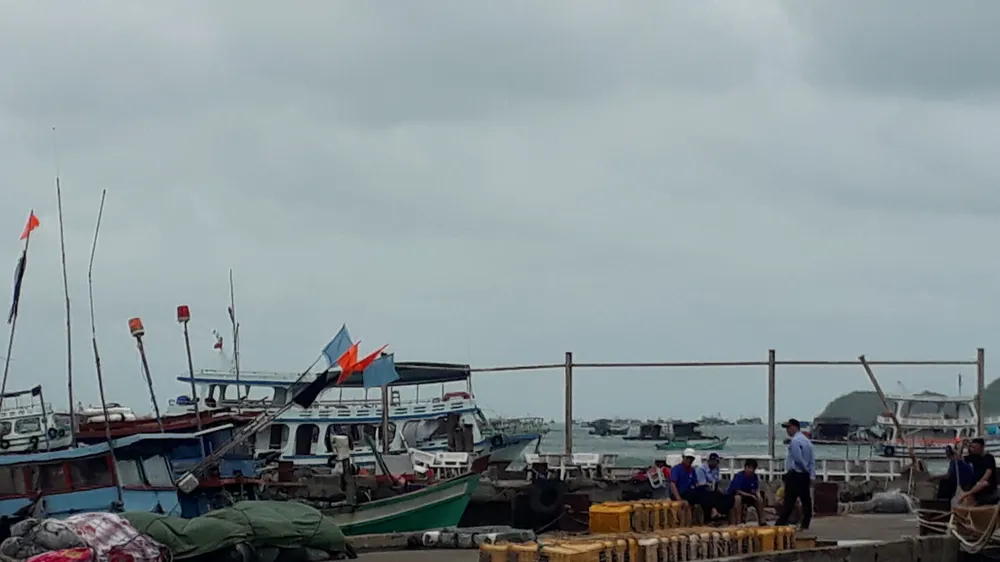Kiên Giang: Lốc xoáy làm sập nhà chờ bến cảng, 1 người tử vong, 3 người bị thương 