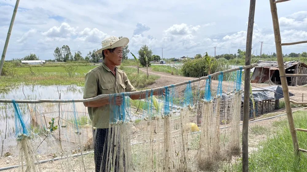 Người dân Đồng Tháp Mười ngóng lũ