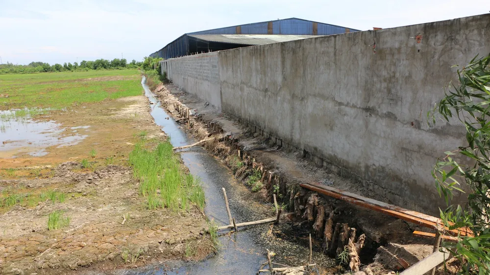 Long An: Xả thải ra môi trường, một doanh nghiệp bị phạt 312 triệu đồng