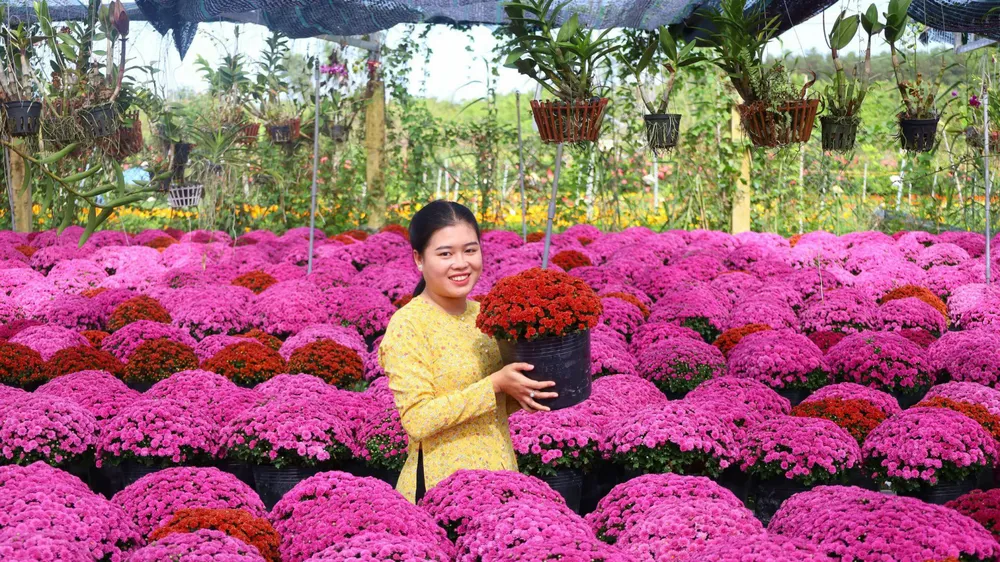 Festival Hoa - Kiểng Sa Đéc lần thứ II năm 2025 sẽ diễn ra từ 27-12-2025 đến 4-1-2026