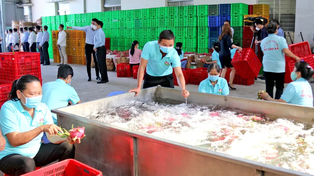 Đồng Tháp: Không để xảy ra tình trạng chậm đóng Bảo hiểm xã hội 