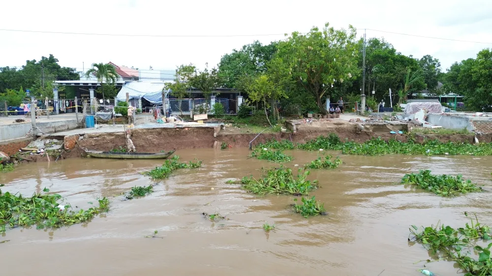 Đồng Tháp, Vĩnh Long: Triều cường kết hợp lũ gây sạt lở 155 điểm, thiệt hại 2.900ha cây trồng
