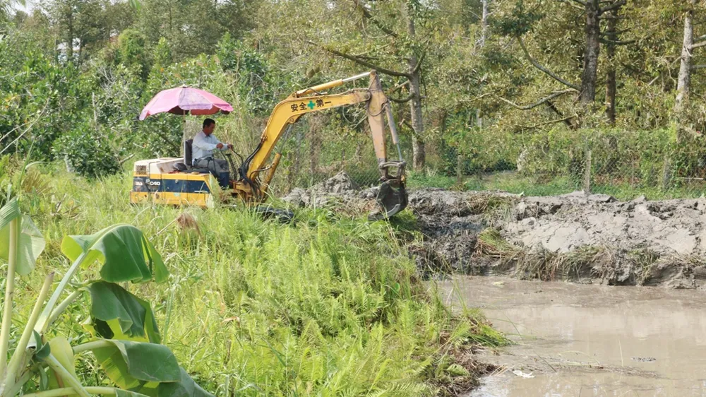 Đồng Tháp: Dự kiến xuống giống khoảng 227.000 ha trong Vụ Đông Xuân 2025 – 2026