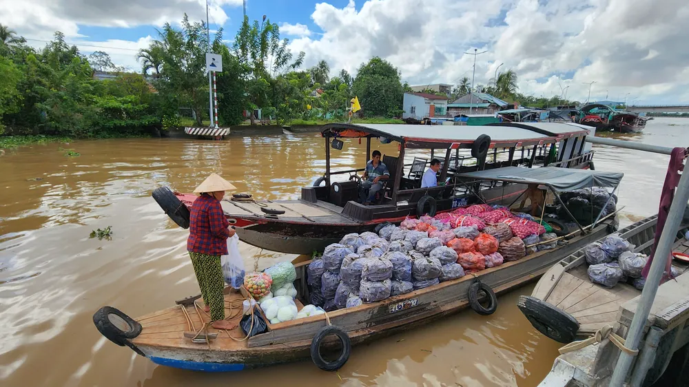 Đồng Tháp: Khai mạc Chợ nổi Cái Bè