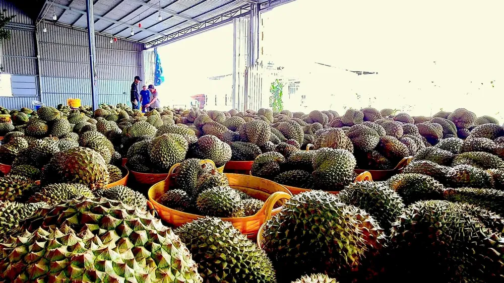 Đồng Tháp, Cà Mau đẩy mạnh số hóa truy xuất nguồn gốc nông sản