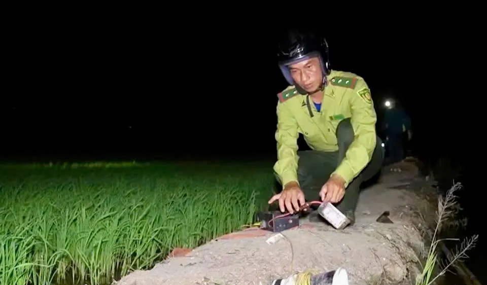 Đồng Tháp tăng cường tuần tra, ngăn chặn săn bắt trái phép chim hoang dã