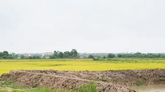  Trông coi huyệt mộ, 3 người tử vong do sét đánh