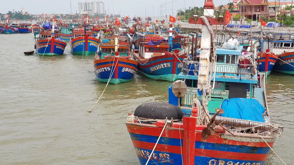 Đánh bắt xa bờ đem lại thu nhập lớn cho xã biển Bảo Ninh