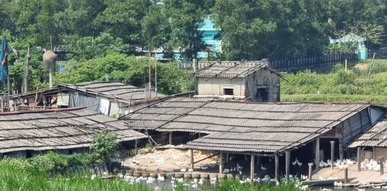 Vụ di tích Lũy Thầy và sông Lũy Thầy bị xâm hại: Các cơ quan chức năng vào cuộc