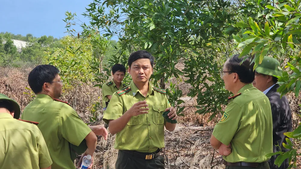 Chi cục Kiểm lâm vùng II cùng với Chi cục kiểm lâm Quảng Bình kiểm tra hiện trường phá rừng phòng hộ 
