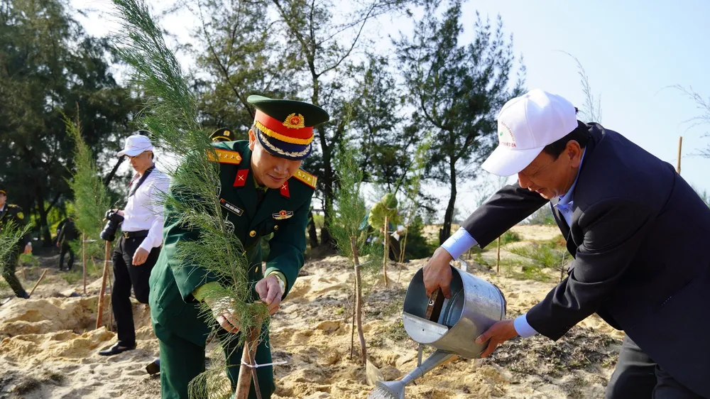 Quảng Bình: Hơn 300.000 cây xanh được trồng dịp năm mới