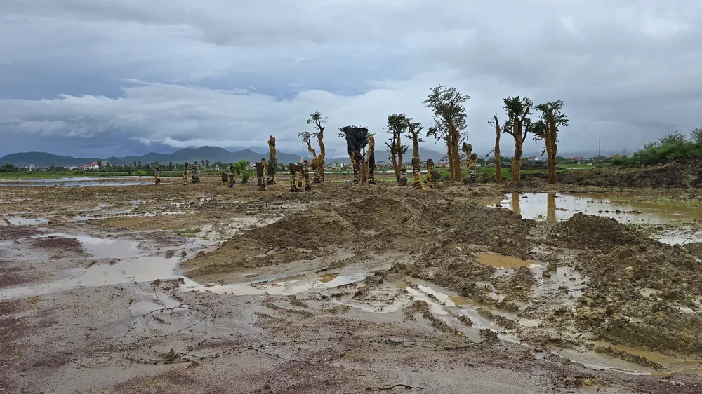 Vụ lấp 10ha ao hồ nuôi trồng thủy sản: Yêu cầu kiểm điểm Phó Chủ tịch thị xã Ba Đồn