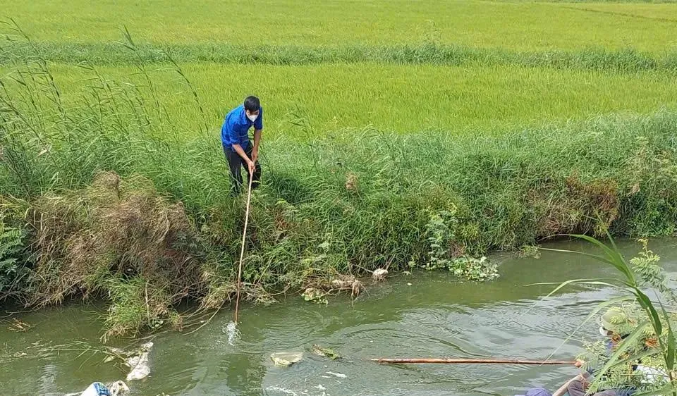 Vớt xác heo hết chôn lấp ở xã Đông Trạch
