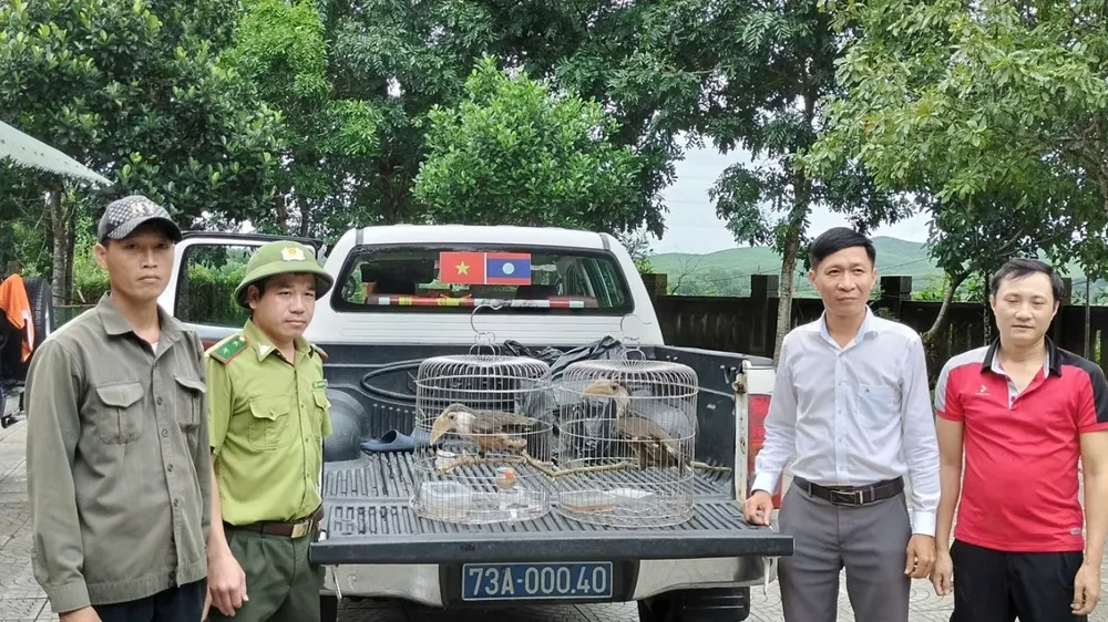 Trao hai chim niệc nâu quý hiếm cho Vườn quốc gia Phong Nha – Kẻ Bàng