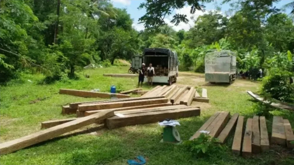 Khởi tố 10 bị can trong hai vụ vận chuyển gỗ quý từ Lào về Quảng Trị