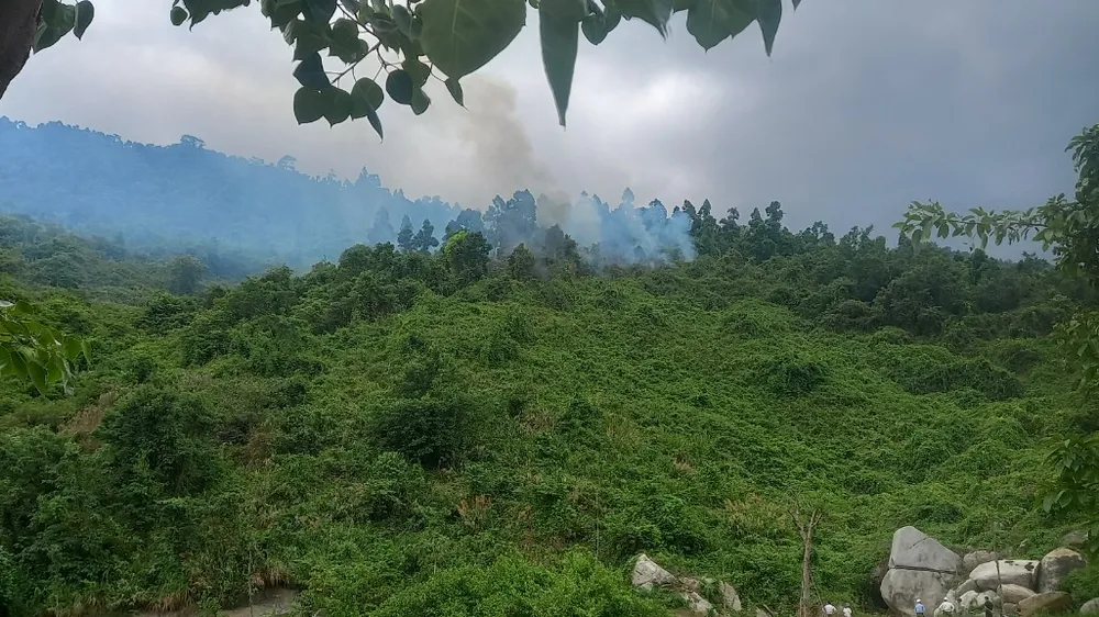 Khoảnh rừng bị cháy