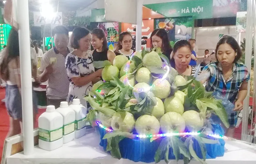 Quảng bá, khuyến khích phát triển sản phẩm nông nghiệp ứng dụng công nghệ cao