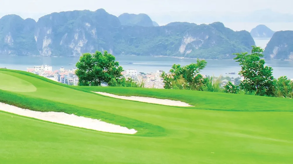 Chủ tịch FLC Trịnh Văn Quyết: Mỗi tỉnh sẽ có ít nhất 1 sân golf trở lên