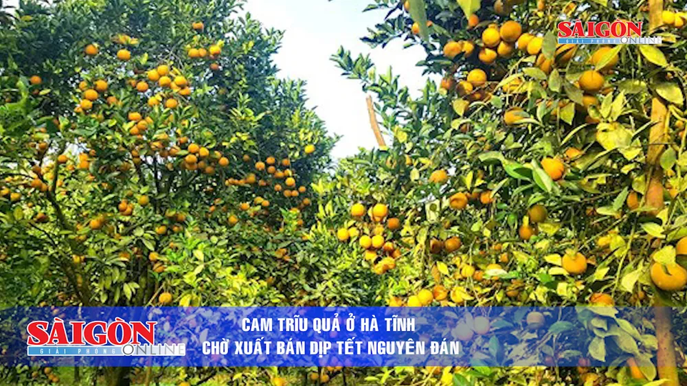 Điểm tin SGGP Online ngày 27.01.2019