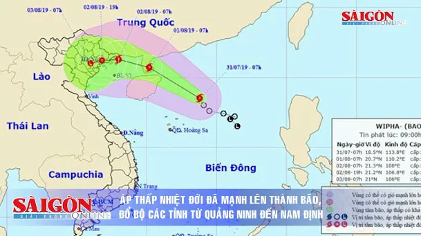 Điểm tin SGGP Online ngày 31-7-2019