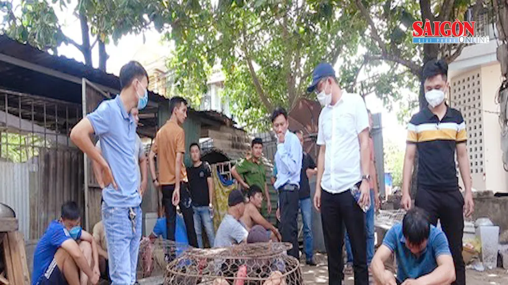 Triệt phá sới bạc chơi cá độ đá gà ăn tiền ở Huế