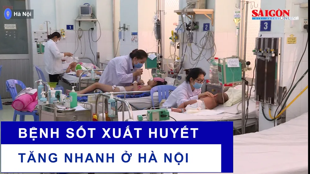 Bệnh sốt xuất huyết tăng nhanh ở Hà Nội