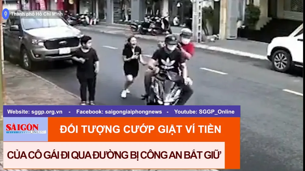 Đối tượng cướp giật ví tiền của cô gái đi qua đường bị công an bắt giữ
