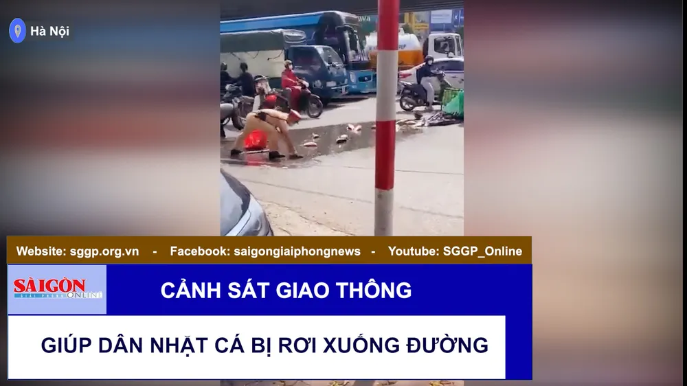Cảnh sát giao thông giúp dân nhặt cá bị rơi xuống đường