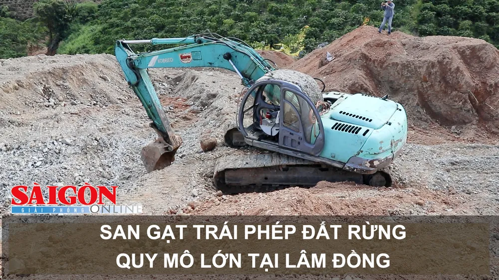 San gạt trái phép đất rừng quy mô lớn tại Lâm Đồng