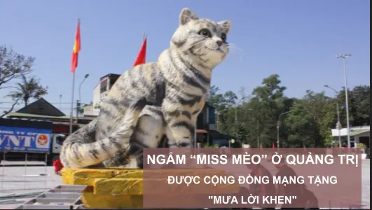 Ngắm “Miss Mèo” ở Quảng Trị được cộng đồng mạng tặng "mưa lời khen"