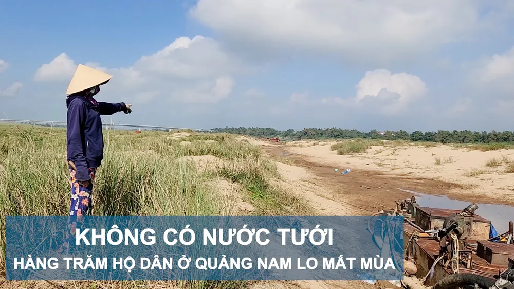 Không có nước tưới, hàng trăm hộ dân ở Quảng Nam lo mất mùa