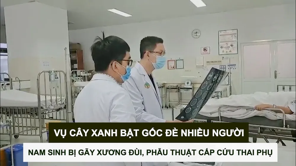 Vụ cây xanh bật gốc đè nhiều người: Nam sinh bị gãy xương đùi, phẫu thuật cấp cứu thai phụ