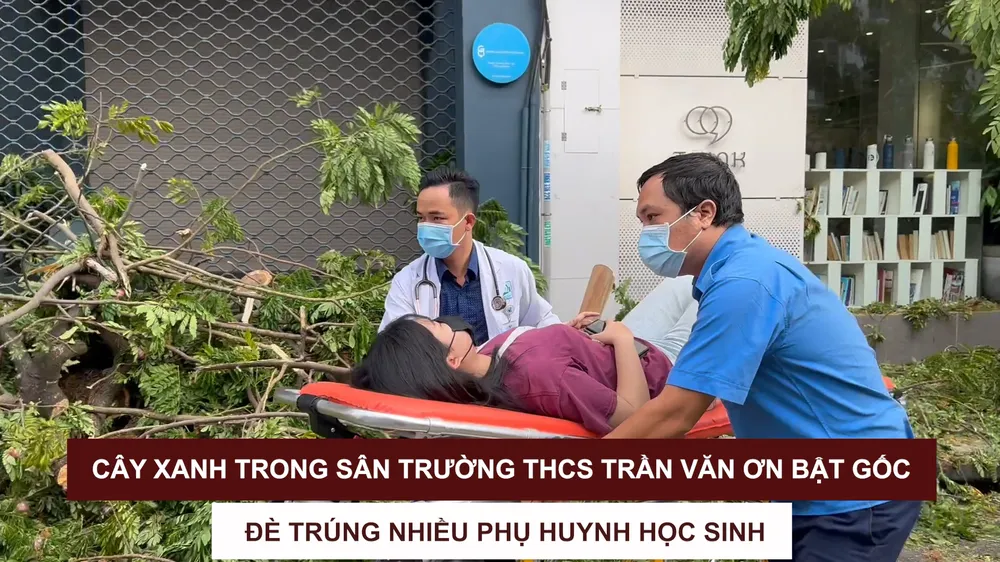 Cây xanh trong sân Trường THCS Trần Văn Ơn bật gốc, đè trúng nhiều phụ huynh học sinh