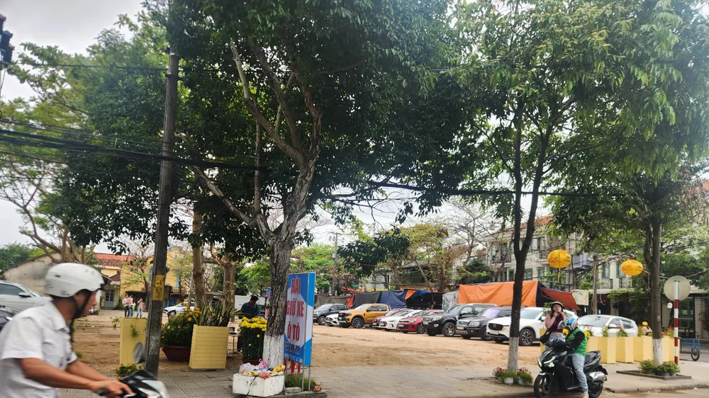 Podcast bản tin trưa 16-2: Du khách tố tình trạng chặt chém giá phí giữ xe, lãnh đạo Hội An nói gì?