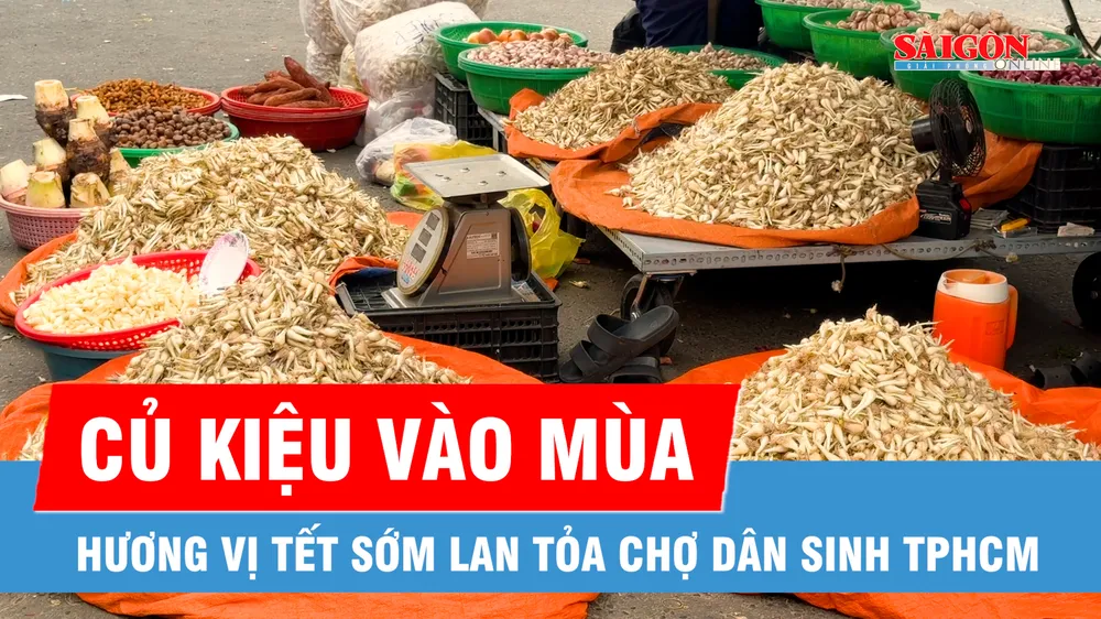 Củ kiệu vào mùa, hương vị Tết sớm lan tỏa chợ dân sinh TPHCM 