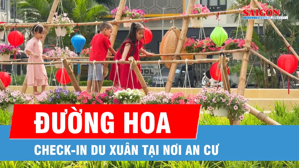Check-in tết quê giữa lòng đô thị
