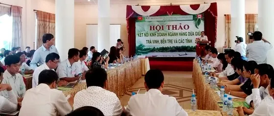 Trà Vinh và Bến Tre kết nối kinh doanh dừa 