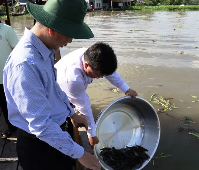 Thả hàng chục ngàn con giống xuống sông Cái Lớn
