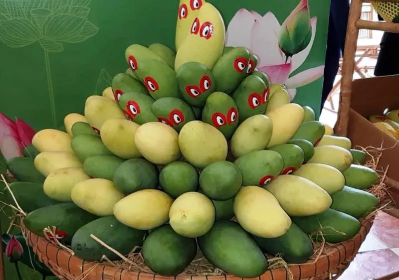 Xoài Đồng Tháp được xuất khẩu sang Mỹ, góp phần gia tăng giá trị sản xuất ngành nông nghiệp 