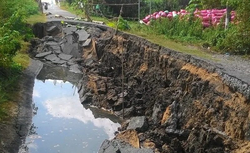 Bán đảo Cà Mau có tốc độ sụt lún cao nhất
