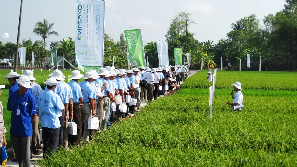 Viện Lúa ĐBSCL hợp tác phát triển giống lúa bền vững