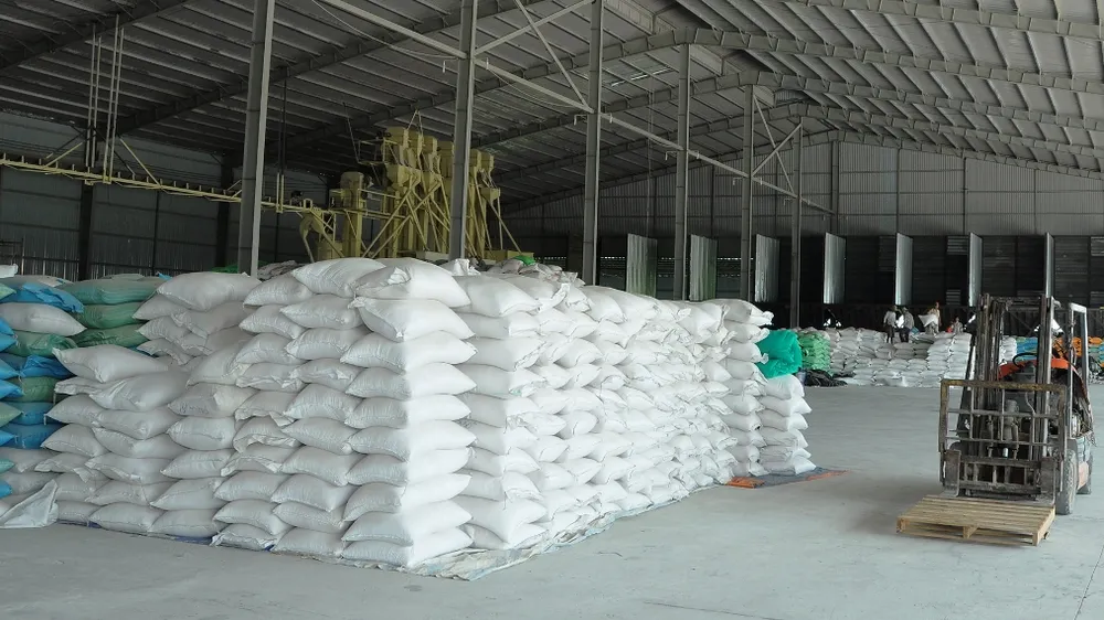 Cấp bách gỡ khó cho xuất khẩu nếp ở ĐBSCL 