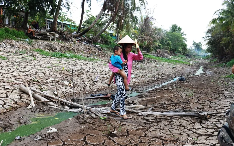 Hơn 58.000ha lúa ở ĐBSCL bị thiệt hại do hạn mặn